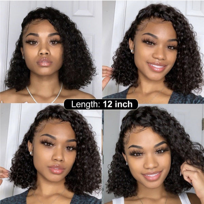 Synthetic Lace Front Wig Africa Small Curly Wig Women's Medium And Long Curly Hair Braided Wigs Synthetic Lace Front Wig Africa Small Curly Wig Women's Medium And Long Curly Hair Braided Wigs